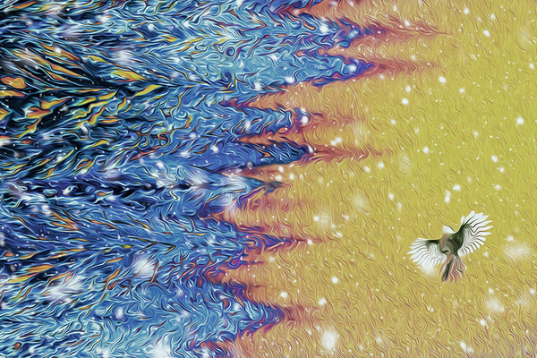 whiskey jacked sunrise Digital Download