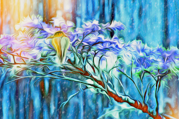 winter moss hawk Digital Download