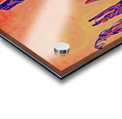 Alpenglow Pause Acrylic print