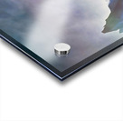 fully engaged Acrylic print