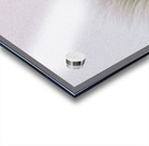 fly away with me Impression Acrylique