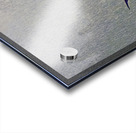 a lullible gulliby Acrylic print