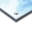 love birds Acrylic print