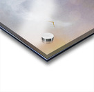 into the mystic Acrylic print