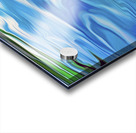 Paws for reflection : panoramic orientation Acrylic print