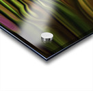 moss and not so burly what knots Acrylic print