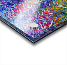 presimmon cardigan coniferous sunrise  Acrylic print