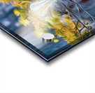 moss hawk Acrylic print