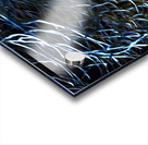 night Caw Cawler : Panoramic Orientation Acrylic print