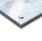 watching from above Acrylic print