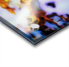 simba and the toad Acrylic print