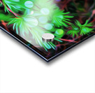 the black pearl of grose morne Impression Acrylique