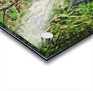 warm and fuzzy aBearitions Acrylic print