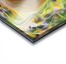 psycadeliphant Acrylic print