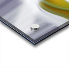 24 karat may day magico Acrylic print