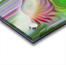 acknOWLedged Acrylic print