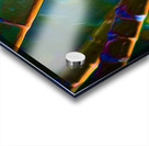 Bamboozled Impression Acrylique