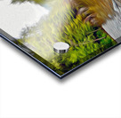 avatar grove balancing act Impression Acrylique