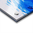 bow pod Acrylic print