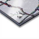 beakaboo   landcape orientaton Acrylic print