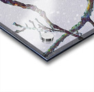 beakaboo panoramic orientation Acrylic print