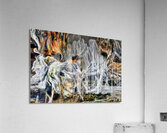 petrified at low tide Acrylic Print