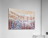 soaring over the hearts of the Kootenais Acrylic Print