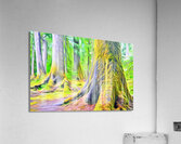 gentle giants Acrylic Print