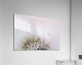 fly away with me Impression acrylique