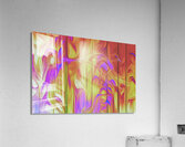 feathers and fire Acrylic Print