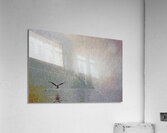 a lullible gulliby Acrylic Print