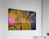 humility Acrylic Print