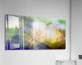 early bird Impression acrylique