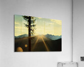 Loki Doki Golden Delight Acrylic Print