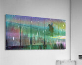 last light flight over the northern delights Acrylic Print