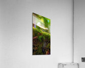 magic underfoot Acrylic Print