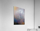 into the mystic Acrylic Print