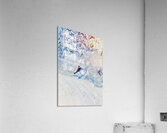 high noon heart plumes Acrylic Print