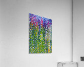 presimmon cardigan coniferous sunrise Landscape O Acrylic Print