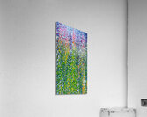 presimmon cardigan coniferous sunrise  Acrylic Print