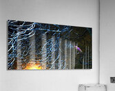 night Caw Cawler : Panoramic Orientation Acrylic Print