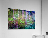 Svelt Velvet Sunrise Impression acrylique