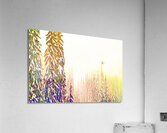 tricksters glow : landscape orientation Acrylic Print