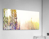 tricksters glow Panoramic Orientation Acrylic Print