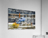 tricksters and shape shifters Acrylic Print