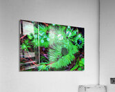 the black pearl of grose morne Impression acrylique