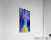 ullrs mellow bellows Acrylic Print