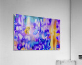 welcome Acrylic Print