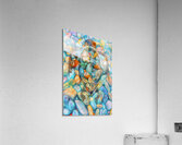 Gwaii Haanas Glide Impression acrylique