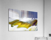 24 karat may day magico Acrylic Print